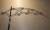 DSCF2358.JPG